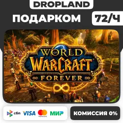 World of Warcraft: Forever +ВЫБОР ИЗДАНИЯ ПОДАРКОМ, лот №279914