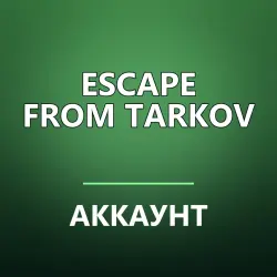 Escape from Tarkov — аккаунт Steam | полный доступ + почта, лот №280246